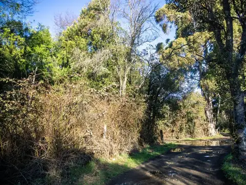 Terreno a Orillas del Rio Quenquentreu