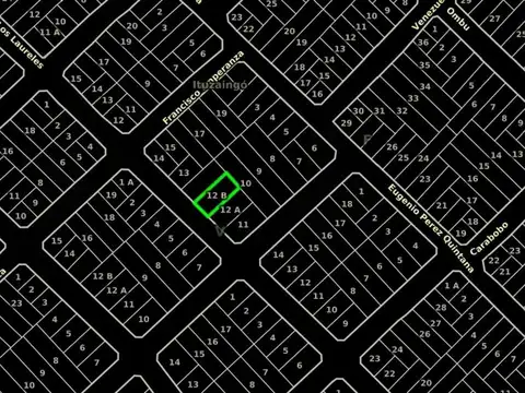 Profesor Carlos Bagnat e/ Francisco Emperanza y Venezuela