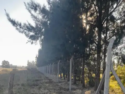 Terreno en Venta en Guernica, USD 95.000