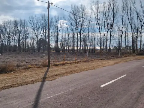 Terreno en mendoza, general alvear, bowen.