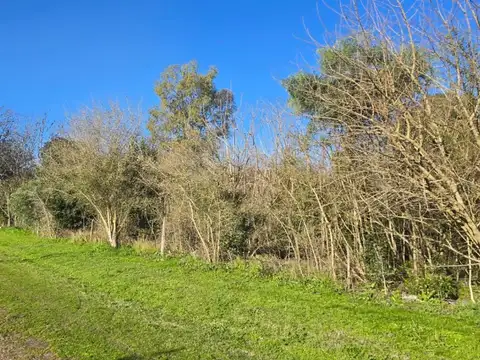 Terreno en Venta en Cañuelas, Partido de Cañuelas