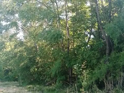 MGM.Precioso lote en venta en El Cazador