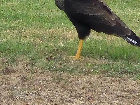 Terreno en Venta en El Canton - Norte, USD 60.000