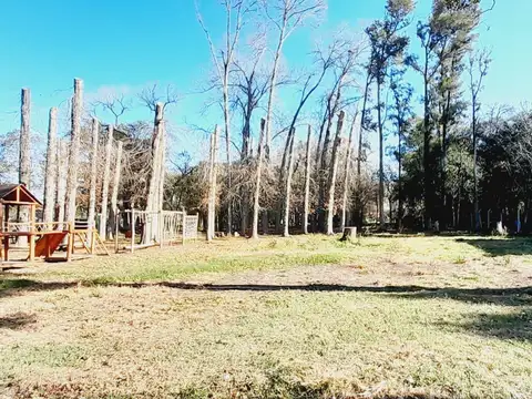 Terreno en Venta 40  mts Fondo