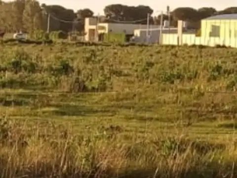 Acceso Illia