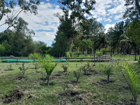 Arroyo Vega