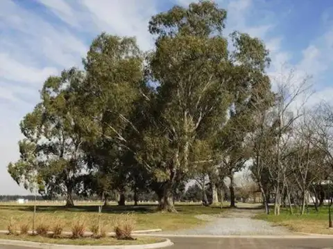 Terreno en Venta en Ezeiza, USD 77.000