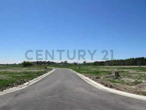 Terreno en Venta de 1015,0 m2