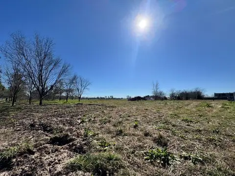 LOTE PILARA TILBURY 829 METROS