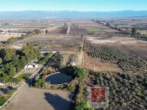 Finca en Lavalle Villa Tulumaya