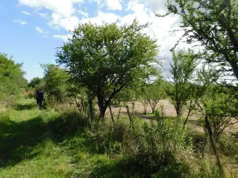 Campo de 25 has en venta a 1 km del Centro de Merlo San Luis