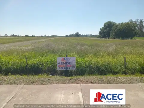 Terreno en Venta de 29000,0 m2