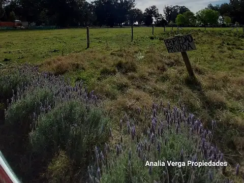 Terreno en Venta 30  mts Fondo
