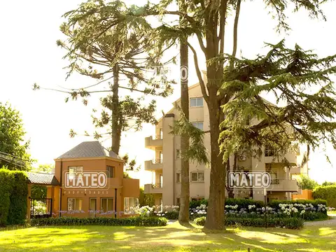 Emprendimiento - Entrega Enero 0001