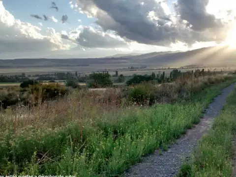 Terreno en Venta de 10010,0 m2