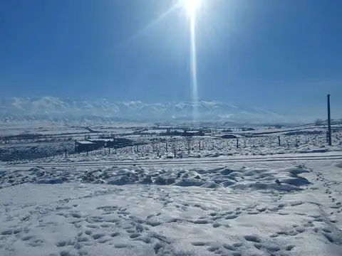 La Carrera