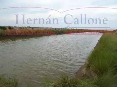 Campo en alquiler. 5560 ha Santiago del Estero