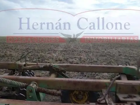 Campo en alquiler. 5560 ha Santiago del Estero