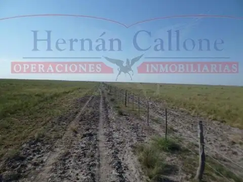 Campo en alquiler. 5560 ha Santiago del Estero