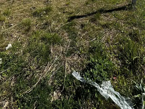 Terreno en Venta de 200,0 m2