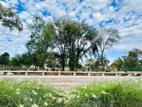 Avenida Olivos 1700
