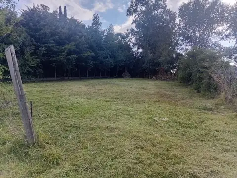 Ruta 18 Km 11 (Los Pinos) - Lote de 1000mts2 sobre colectora