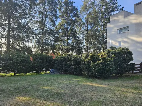 Altos de campo grande