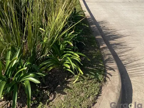 Terreno en Venta 62,66  mts Fondo