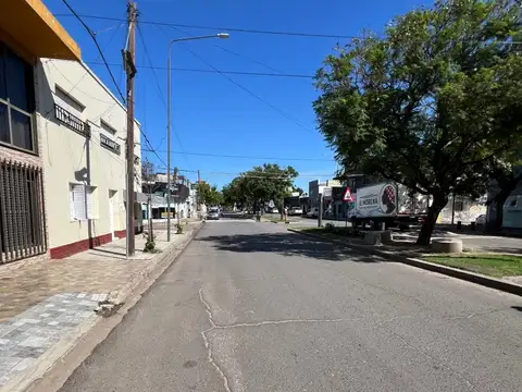 luis n palma 1800