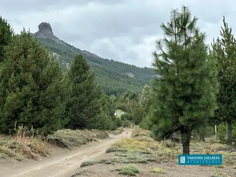 Terreno en Venta 50  mts Frente