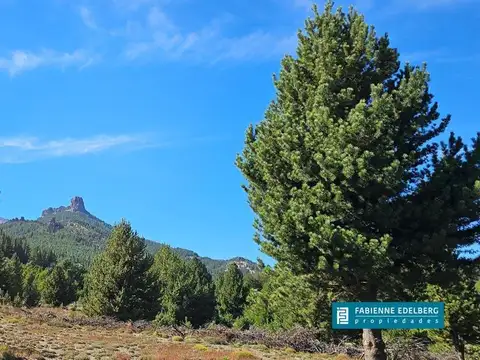 venta lote Mza J Las Jorgelinas con espacio verde y arroyo por detras