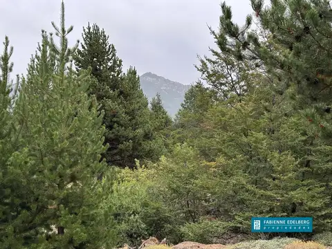 venta lote Mza J Las Jorgelinas con espacio verde y arroyo por detras