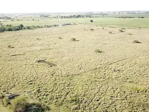 Vuelta de Obligado y Lisandro de la 100