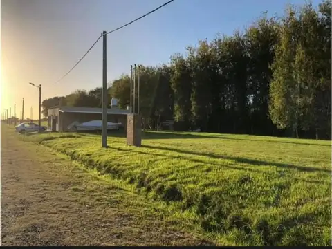 venta