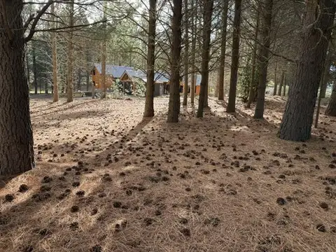 Terreno en Chapelco Golf &amp; Resort