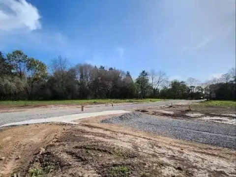 Terreno en Venta 12  mts Frente