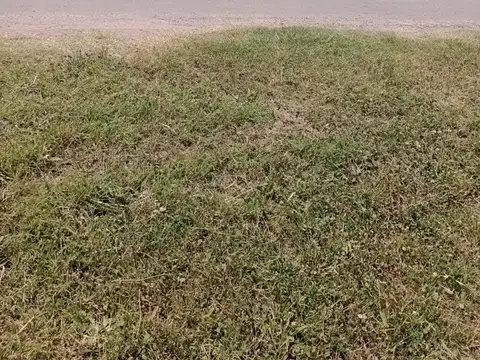 Terreno en Venta 43  mts Fondo