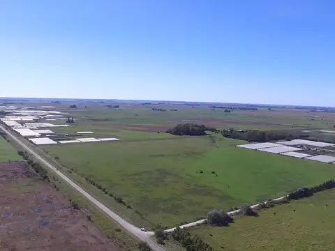 Campo en Venta en Magdalena, Partido de Magdalena
