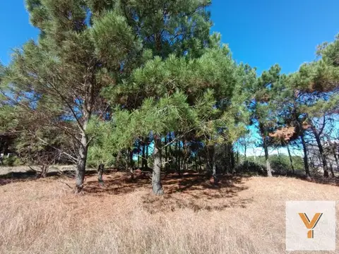 Terreno en Venta de 1530,0 m2