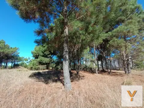 Terreno en Venta en Barrio Cerrado Costa Esmeralda, USD 750.000