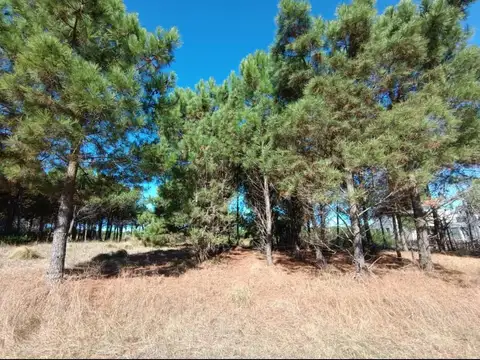 Terreno en venta - 1.530 mts2 - Marítimo II - Costa Esmeralda