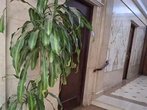 Lavalleja 1000 , Piso PB