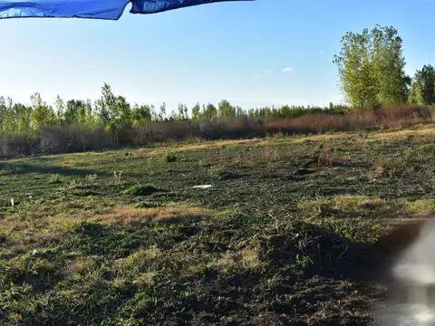 Venta terreno capiz san carlos mendoza