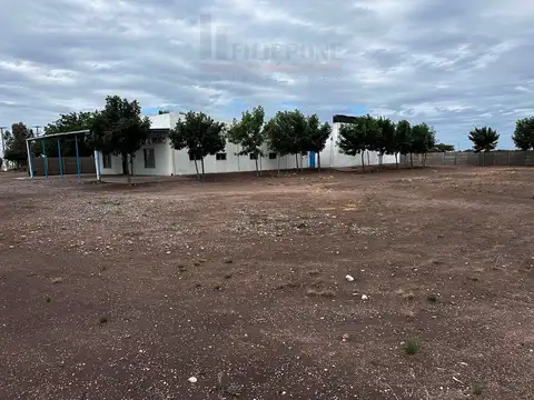 Acceso a La Adela 100