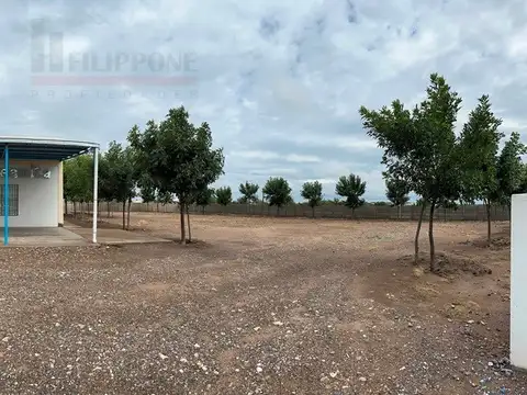 Salón en venta de 220m2 + 2has + 2 deptos en La Adela - La Pampa