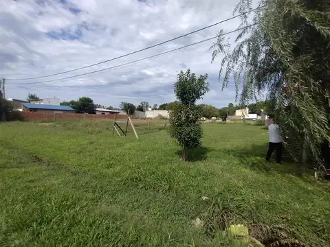 Terreno en Venta 12  mts Frente