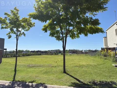 Terreno en Venta de 535,0 m2