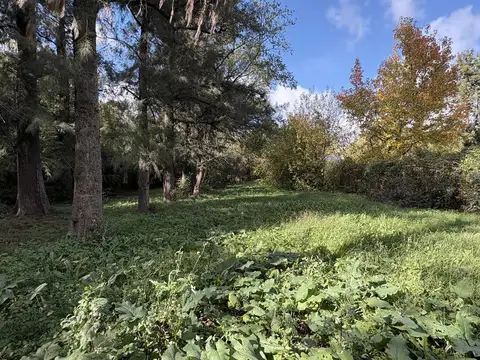 Terreno en Venta en Bella Vista, USD 250.000