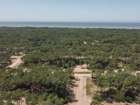 Barrio Bosques Pinamar