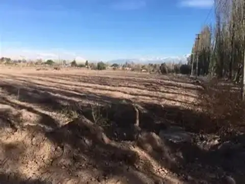 Videla Aranda 300